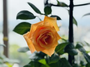 GW中にお困りの方へ