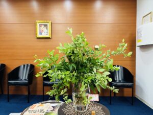 インプラント無料相談実施中です！