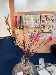 今週は桃の花です